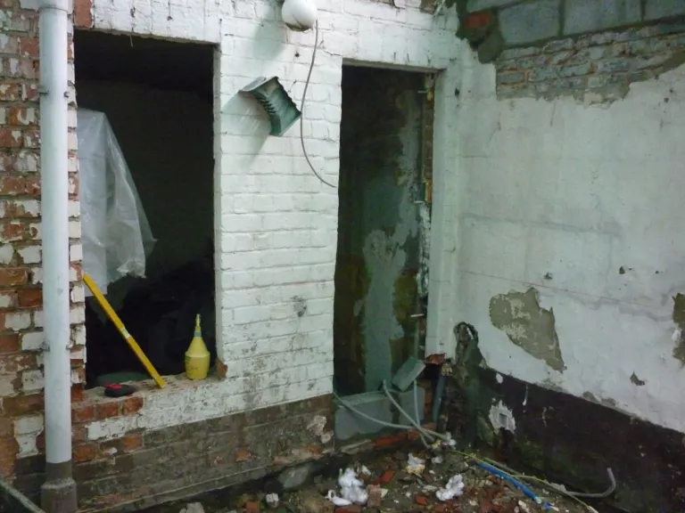 Extension vitrée à l’arrière d’une maison à Bruxelles — photo 5