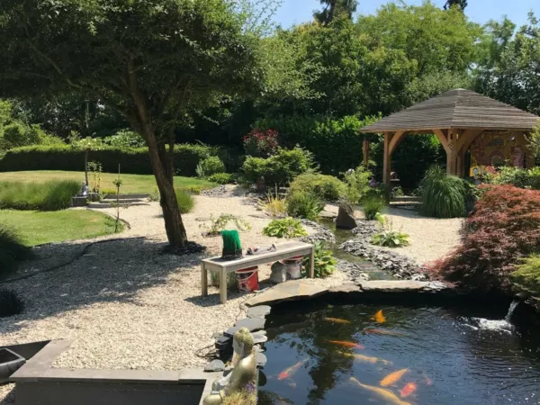 Création d’un bassin à koïs à Lasne