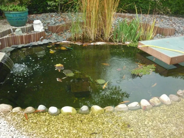 Création d’un bassin à koïs à Lasne — photo 11